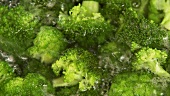 Brokkoli sprudelnd kochen lassen