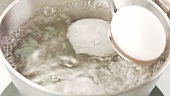 An egg being placed into a pot of boiling water