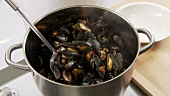 Cooked mussels being arranged on a deep plate
