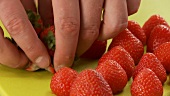 Von den Erdbeeren abgeschnittene Kelchblätter wegräumen