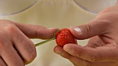 Leaves being removed from strawberries