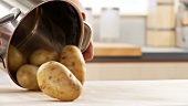 Gekochte Kartoffeln ausdampfen lassen