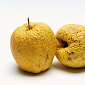 Two wrinkled Golden apples