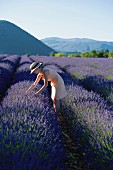 Young woman in blooming lavender field, Provence, France