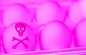 Half a dozen eggs in carton with skull and crossbones on one egg