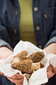 A woman holding fresh morel mushrooms