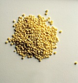 Millet Grain with a White Background