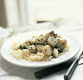 Scallops Served over Thin Spaghetti; Herbs