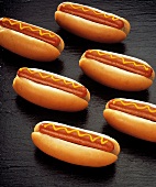 Sechs Hot Dogs mit Senf, einzeln aufgelegt