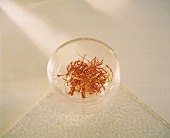 Safranfäden in einem Glasschälchen