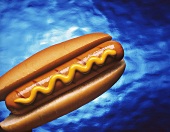 Hot Dog in a Bun with Mustard on Blue Plexiglass