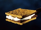 A S'more with a Blue Background
