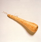 A Parsnip