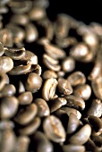 Roasted Coffee Beans