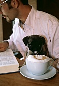Eine Tasse Cappuccino vor kleinem Hund und Mann mit Buch