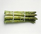 Thick Fresh Asparagus Spears Tied with Strings