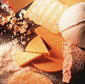 Assorted Cheese Still Life