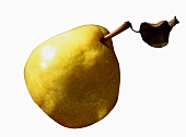 A Single Bartlett Pear