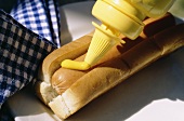 A Bottle of Mustard Squirting Mustard on a Hot Dog