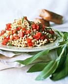 Pasta salad with chick-peas, tomatoes and fresh sage