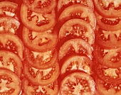 Viele Tomatenscheiben, in Reihen nebeneinander (Ausschnitt)