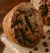 Chocolate Muffin with Chocolate Chips