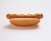 Ein Hot Dog mit Senf