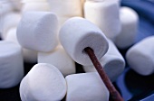 Marshmallow on a Stick For Toasting