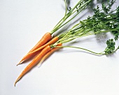 Carrots with Stems
