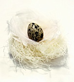 Quail Egg and Feathers on a Rice Noodle Nest