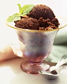 Chocolate Sorbet with Mint Sprig
