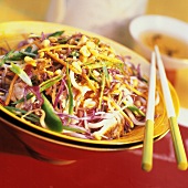 Asian Chicken Salad with Peanuts Peppers and Cabbage