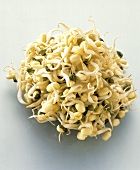 Pile of Soy Sprouts