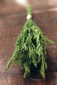 A Bouquet of Dried Dill