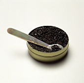 Black caviar in a can with mother-of-pearl spoon