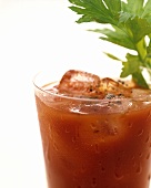 A Bloody Mary with a Celery Stalk