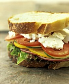 Veggie Sandwich; Close Up