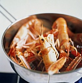 Whole Shrimp in Metal Bowl
