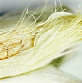 Close Up of Corn Husk