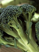 Broccoli Close Up
