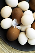 weiße und braune Eier mit weisser Feder
