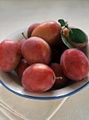 Victoria Plums in a Bowl