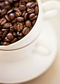 Kaffeebohnen in Kaffeetasse