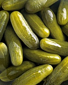 Pickles in a Barrel; Close Up