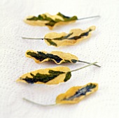 Fried Sage Leaves