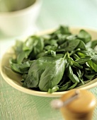 A Plate of Fresh Basil