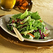 Salad leaves with strips of carrot and red cabbage