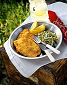 Picnic with chicken escalope and salad