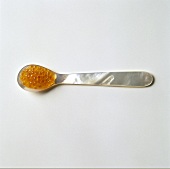 Trout Roe on Pearl Spoon