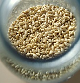 Pearl Barley in Blue Container